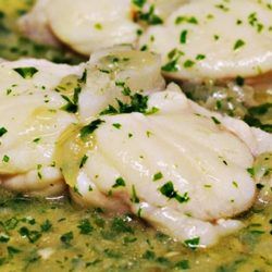 Merluza en Salsa Verde -MAMBO-