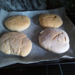 Pan hamburguesa con mambomix